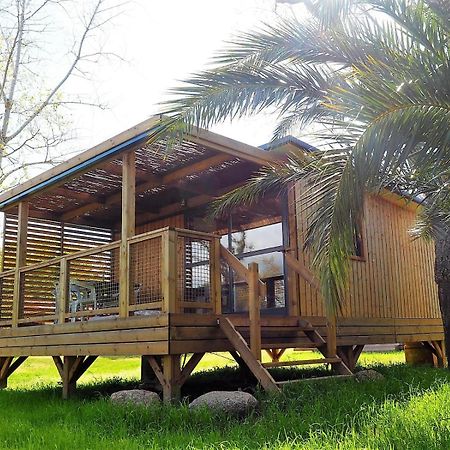 Camping L'Oso 维琪奥港 外观 照片