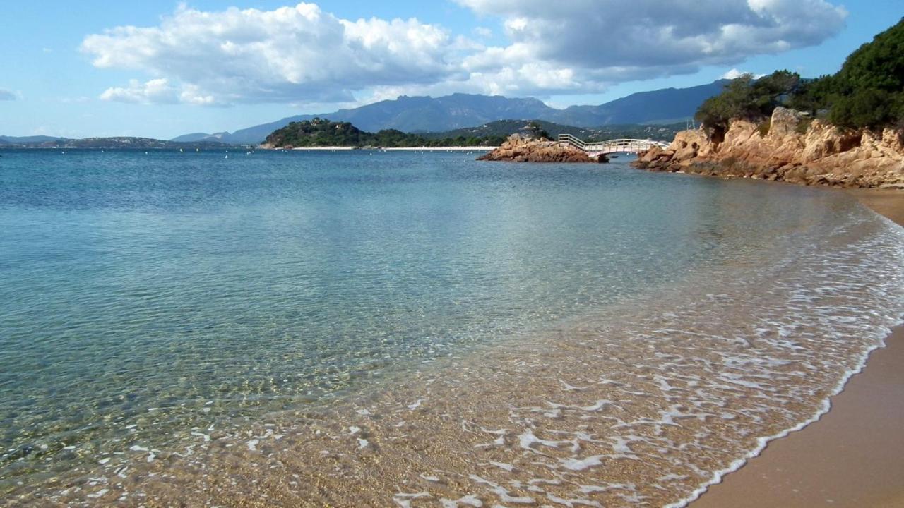 Camping L'Oso 维琪奥港 外观 照片
