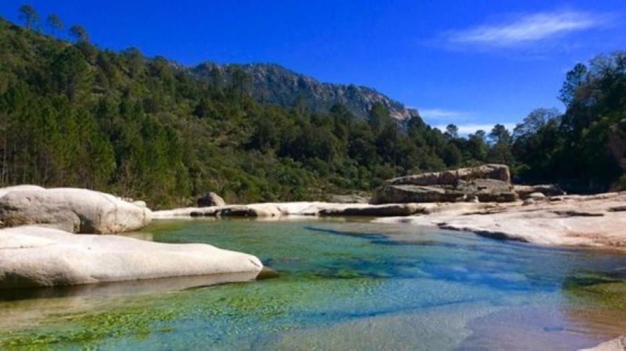 Camping L'Oso 维琪奥港 外观 照片
